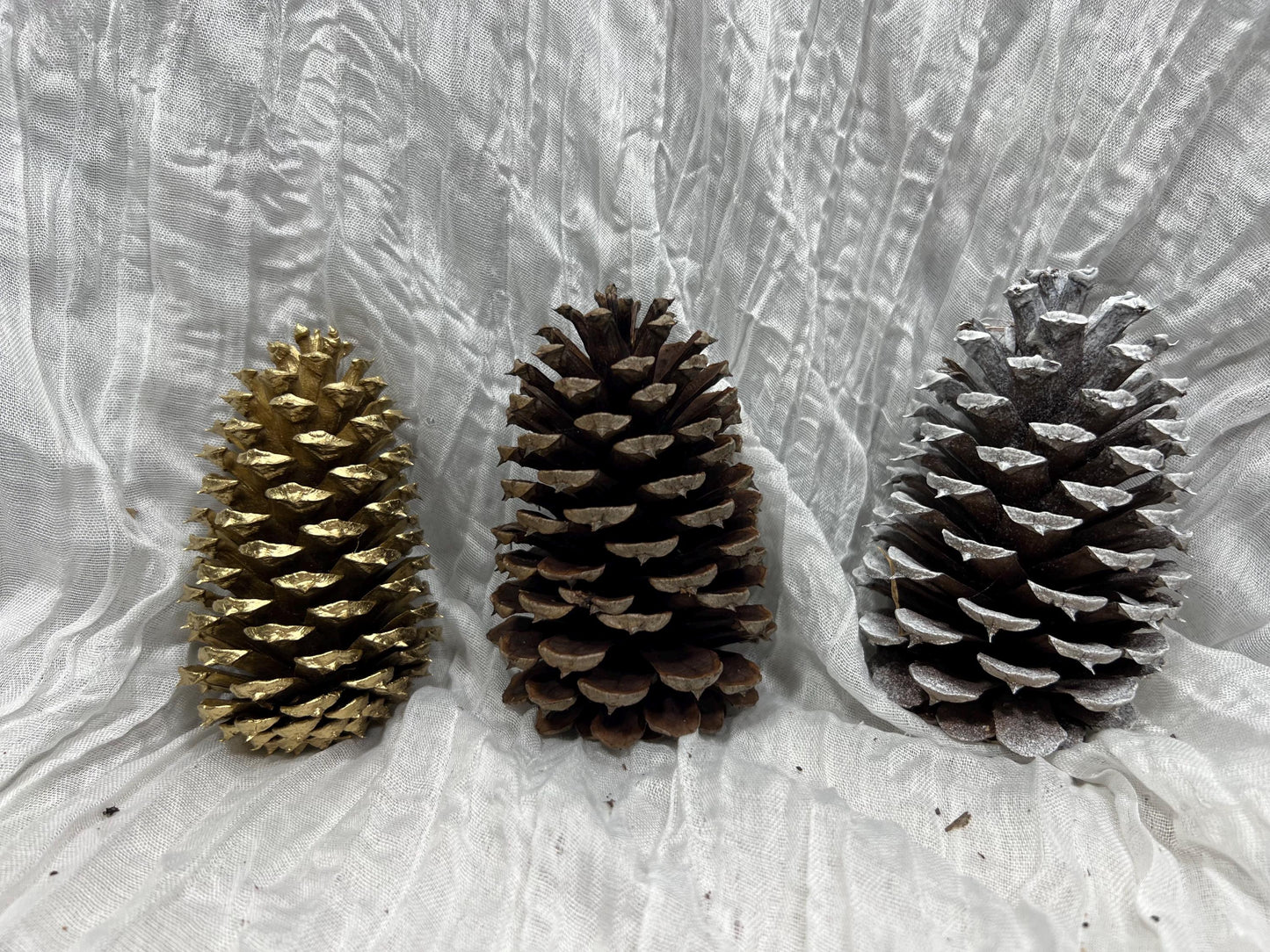 Pine Cone Natural White Pine Cone Gold Wedding Decor Craft Supplies Natural Dried Pine Cones for Home Decor Pine Cone