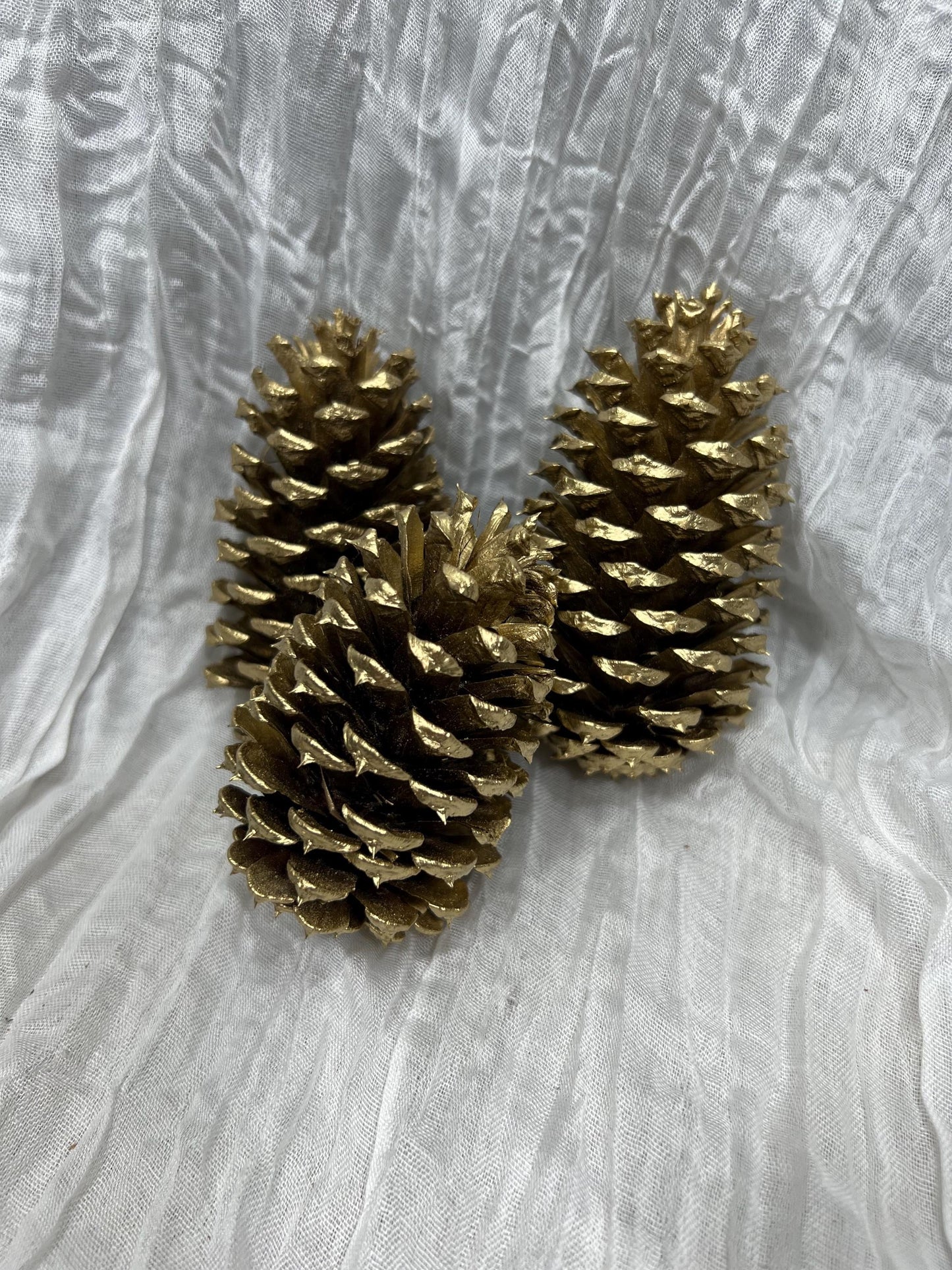 Pine Cone Natural White Pine Cone Gold Wedding Decor Craft Supplies Natural Dried Pine Cones for Home Decor Pine Cone