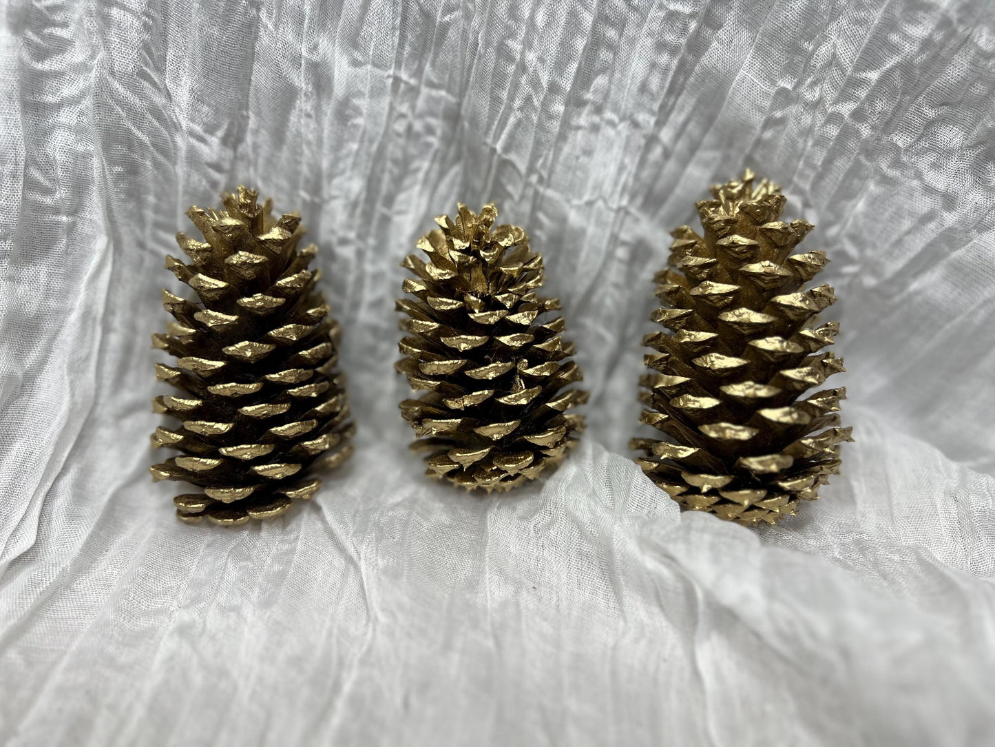 Pine Cone Natural White Pine Cone Gold Wedding Decor Craft Supplies Natural Dried Pine Cones for Home Decor Pine Cone