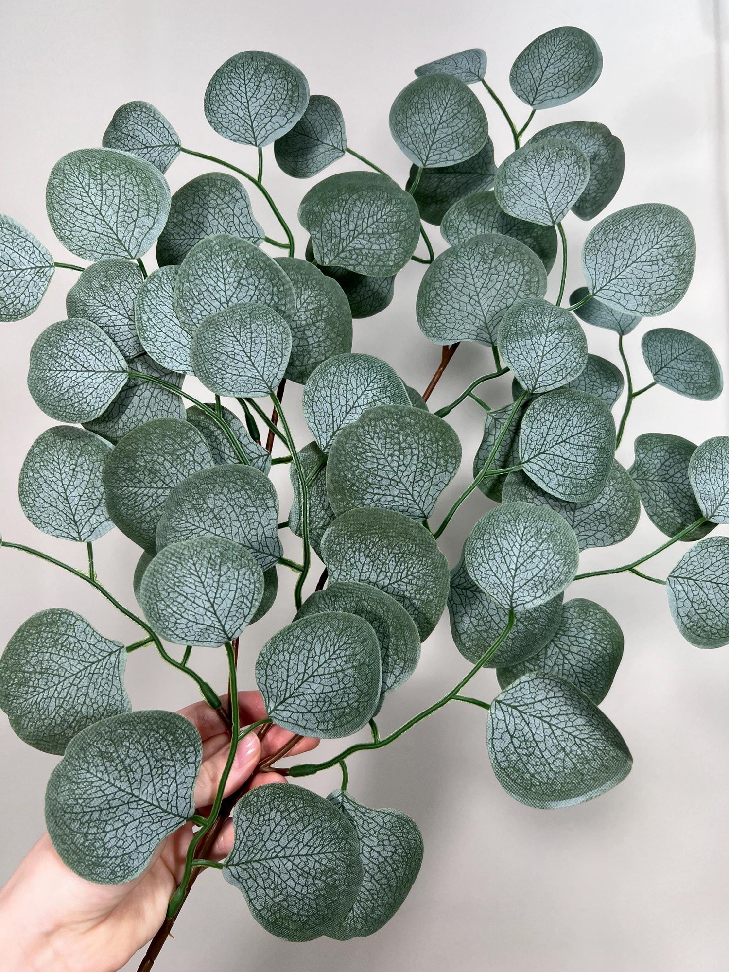 Greenery | Leaves | Stems