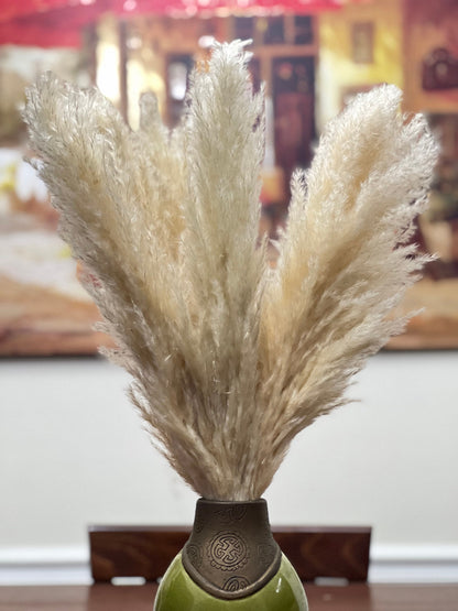 Pampas Grass Home Decor 5/10/50 Steams Natural Dried Flower Interior Wedding Floral Decoration Boho Vintage Fluffy Pampas Grass Cream DIY