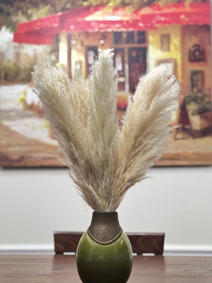 Pampas Grass Home Decor 5/10/50 Steams Natural Dried Flower Interior Wedding Floral Decoration Boho Vintage Fluffy Pampas Grass Cream DIY