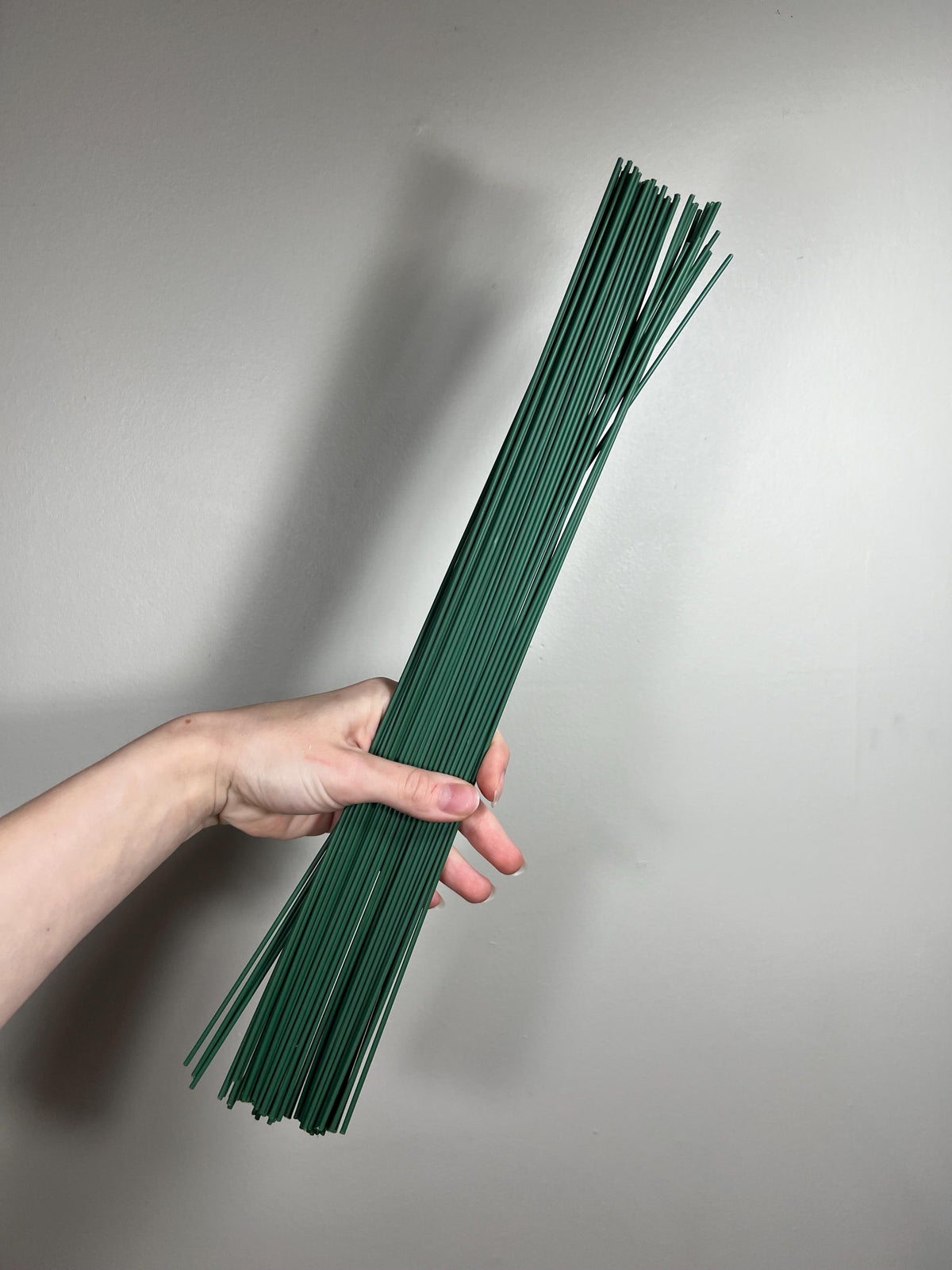 Flower Stem Wire for Flower Heads Green DIY Bouquet Stem Diameter 2 mm Length 15.75" Stem Wrapping and Crafts Iron Wire Reddit