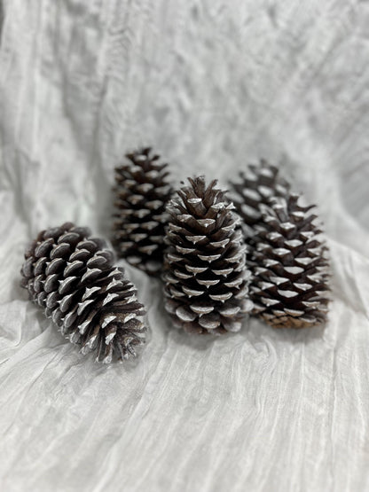 Pine Cone Natural White Pine Cone Gold Wedding Decor Craft Supplies Natural Dried Pine Cones for Home Decor Pine Cone