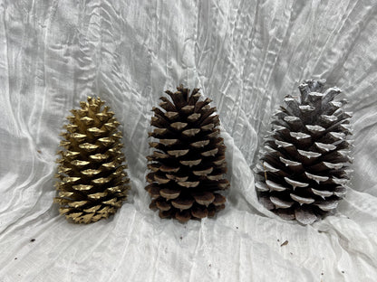 Pine Cone Natural White Pine Cone Gold Wedding Decor Craft Supplies Natural Dried Pine Cones for Home Decor Pine Cone