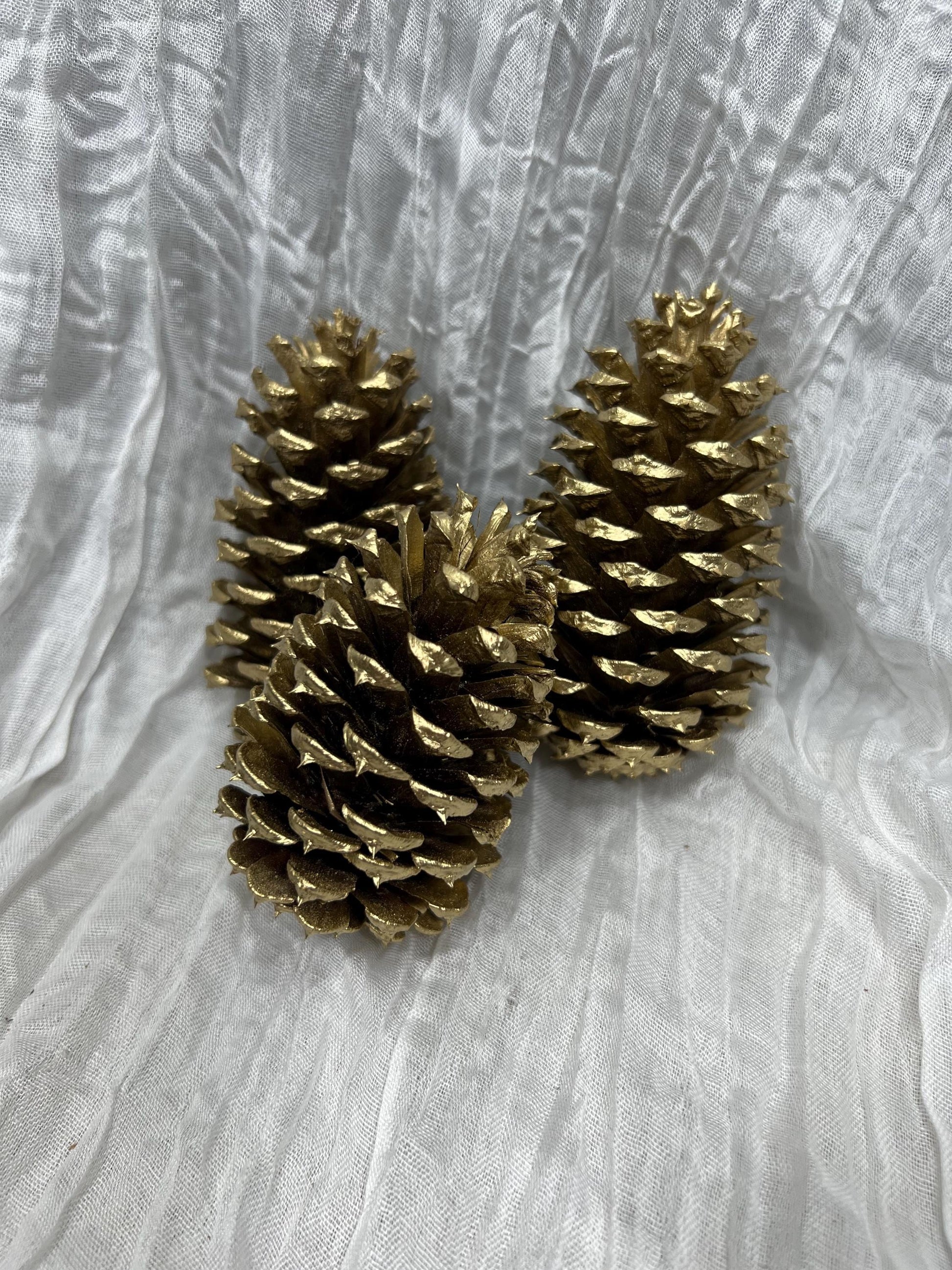 Pine Cone Natural White Pine Cone Gold Wedding Decor Craft Supplies Natural Dried Pine Cones for Home Decor Pine Cone