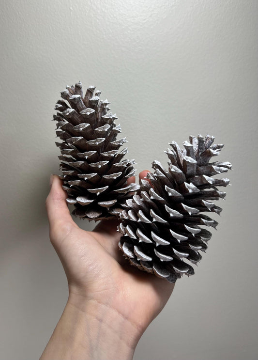 Pine Cone Natural White Pine Cone Gold Wedding Decor Craft Supplies Natural Dried Pine Cones for Home Decor Pine Cone