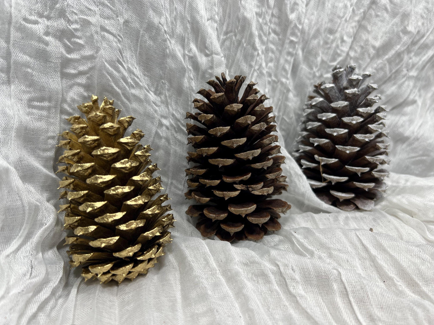 Pine Cone Natural White Pine Cone Gold Wedding Decor Craft Supplies Natural Dried Pine Cones for Home Decor Pine Cone