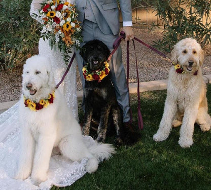 Dog Collar Wedding Sunflower Dog Accessories Collar Sunflowers Burgundy Floral Ring Dog Collar Pet Flower Crown Sunflower Floral Collar Red