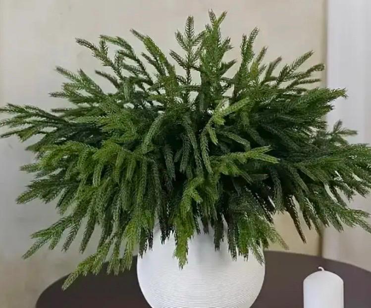 Christmas Branch Artificial Norfolk Pine DIY Craft Supplies Winter Decor Realistic Pine Branch Greenery Evergreen Cedar Fake Spray Pine