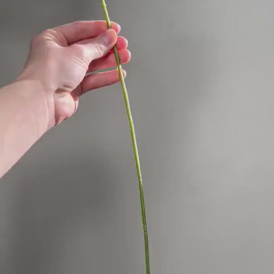 Gold Rose Flower Heads with Stem Wedding Gold Rose Artificial Gold Wedding Silk Roses Gold Flower Home Decor Roses Wedding DIY Craft Supply