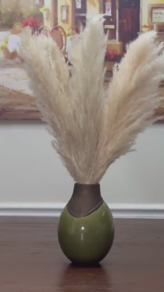 Pampas Grass Home Decor 5/10/50 Steams Natural Dried Flower Interior Wedding Floral Decoration Boho Vintage Fluffy Pampas Grass Cream DIY